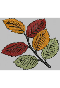 Plf001 - Fall leaves
